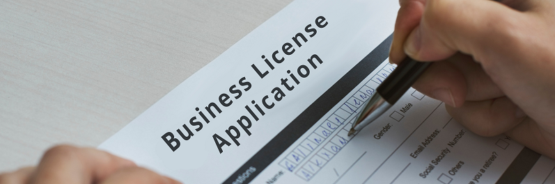 health sector business license