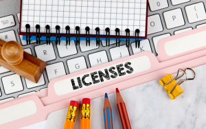new entrepreneurs business licenses permits